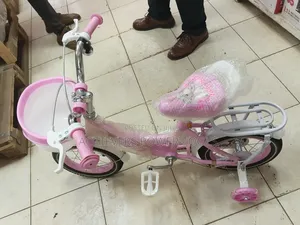 Affordable Size 12 Bicycle
