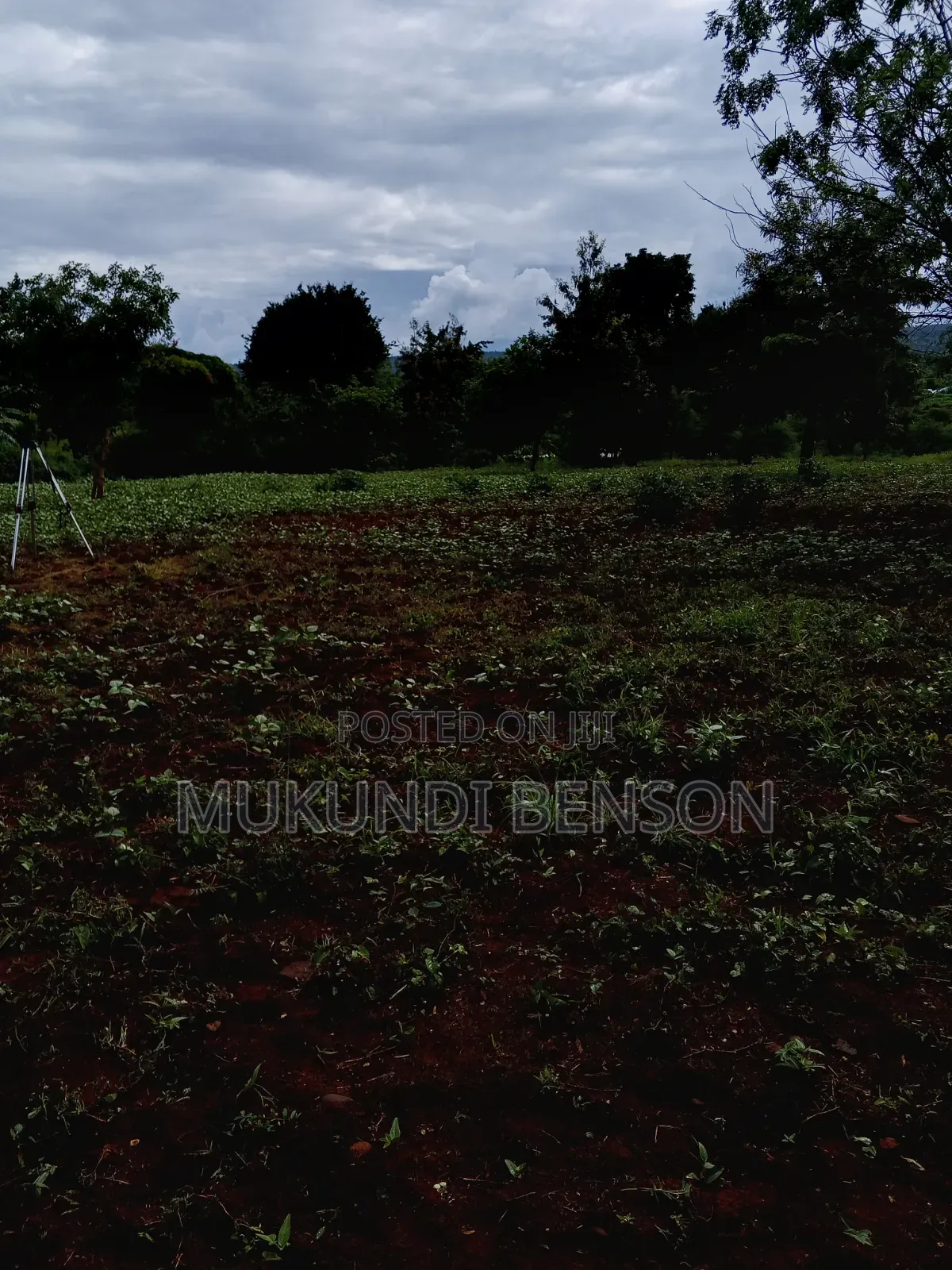 1 Acre of Land