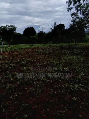 1 Acre of Land