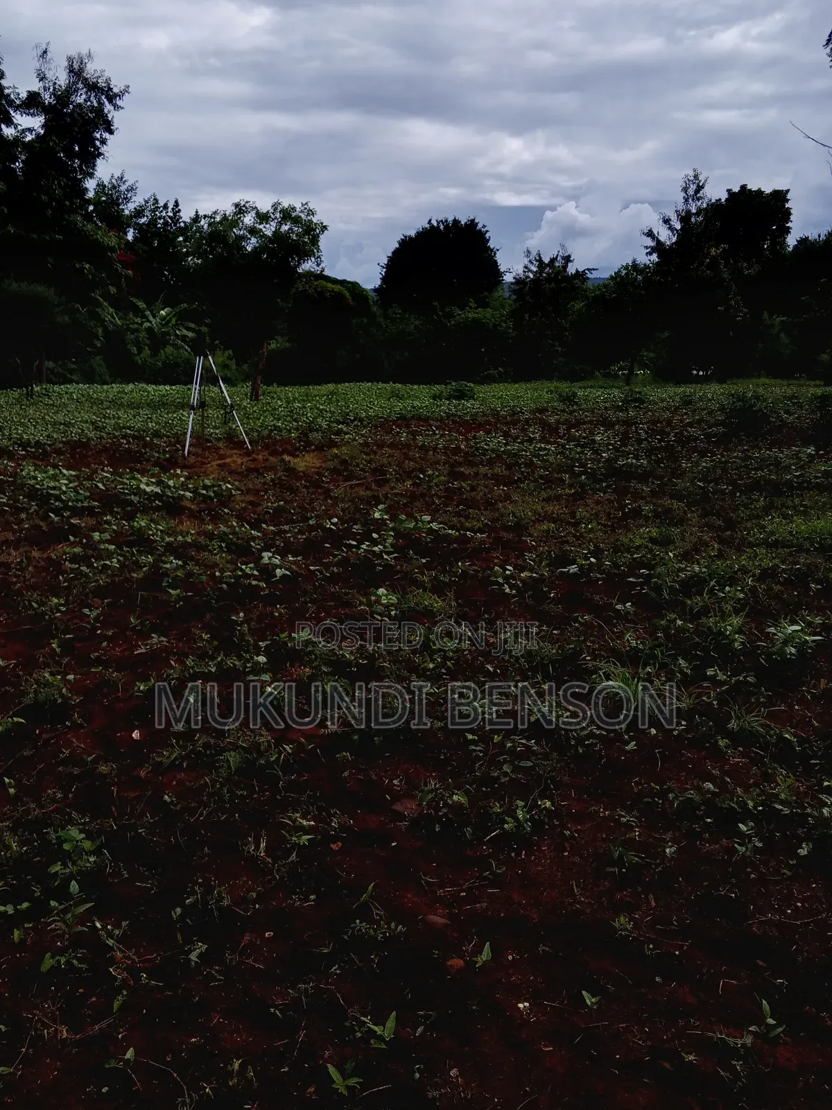 1 Acre of Land