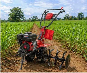 Petrol Powertiller