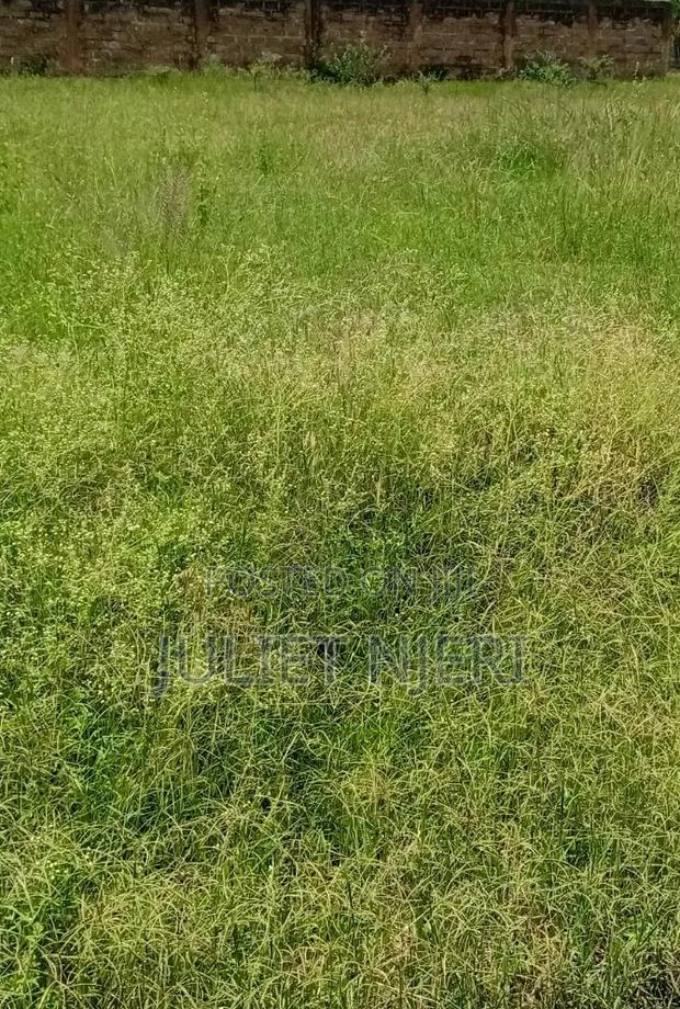 Prime 1 Acre Land for Sale in Malaa - thumbnail 3