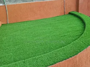 Best Grass Carpets