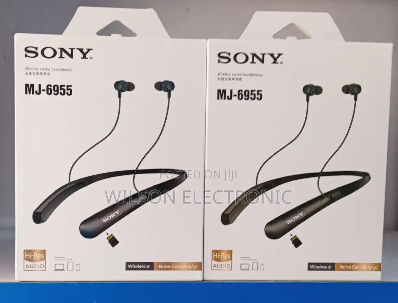 Sony Neckband Earphones
