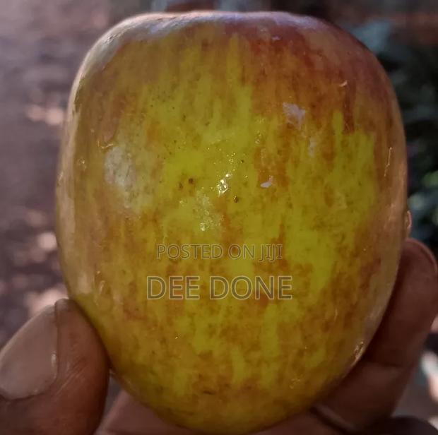Quality Fresh Apples