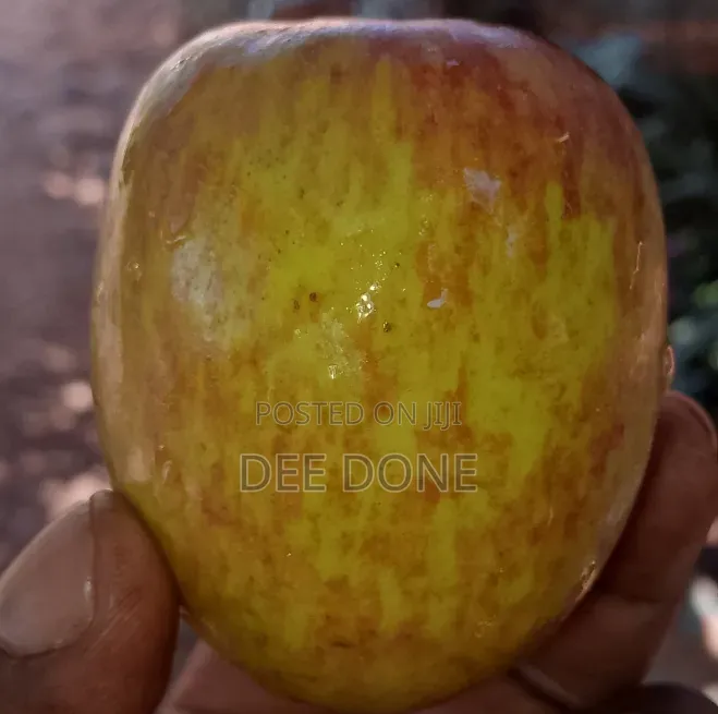 Quality Fresh Apples