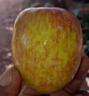 Quality Fresh Apples