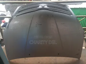Bonnet Allion 2005
