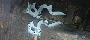 Bonnet Hinges Harrier