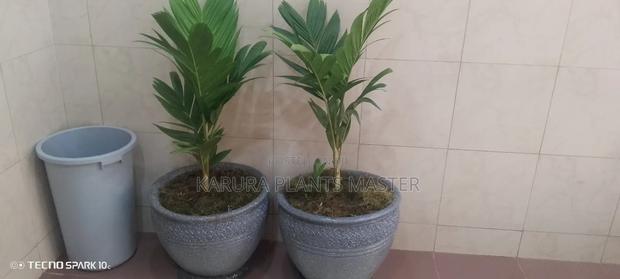 For All Types of Plants - thumbnail 7