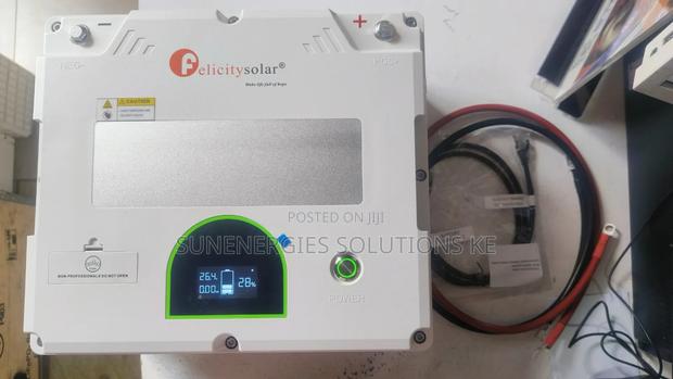 2.56kw 25.6v Felecity Lithium Battery