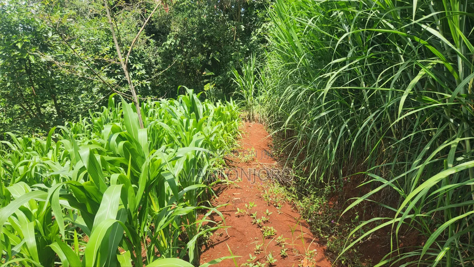 1acre Kigajo Gatundu South