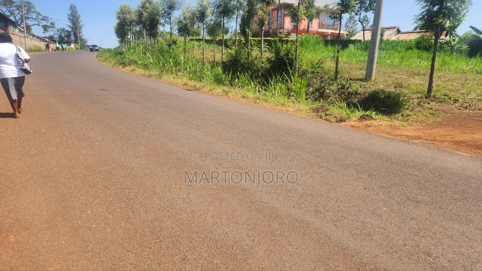 Gatundu Wamwangi 2 Acres