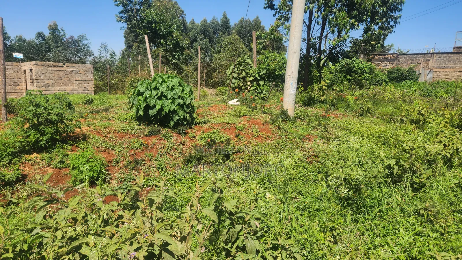 Gatundu Wamwangi 2 Acres