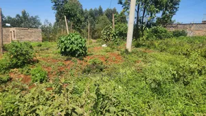 Gatundu Wamwangi 2 Acres
