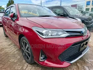 Toyota Axio 2019 Red