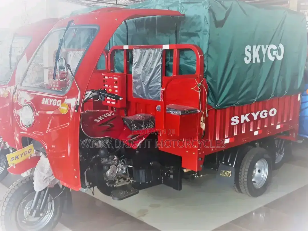 New Skygo 2025 Red