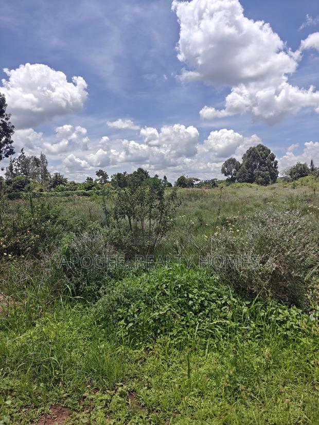 1/2 Acre Plot for Sale in Kiukenda Estate – Kiambu - thumbnail 2