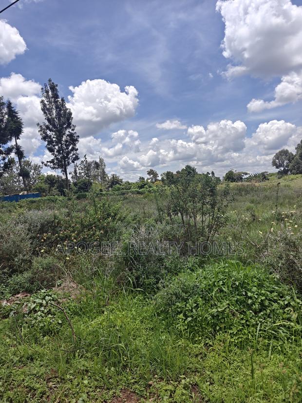 1/2 Acre Plot for Sale in Kiukenda Estate – Kiambu - thumbnail 4