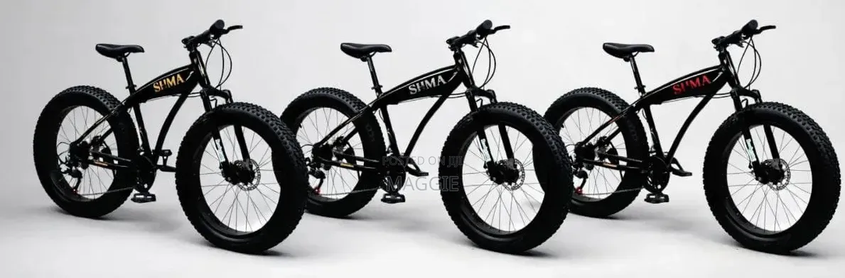 Fat Tyre Mountain Bike Sh-Lv002