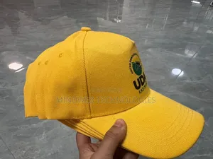 Supply All Campaign Materials (Tshirts And Caps)