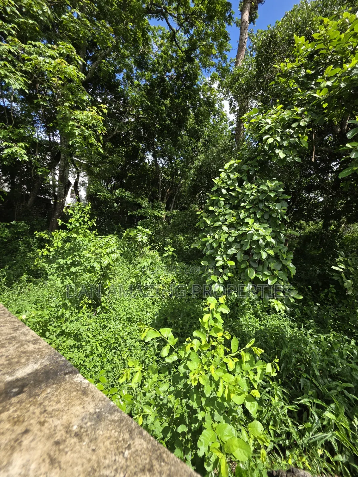1 Acre Beach Front Land for Sale in Diani Galu Area I