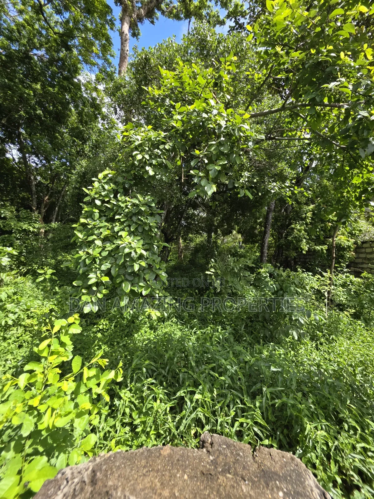1 Acre Beach Front Land for Sale in Diani Galu Area I