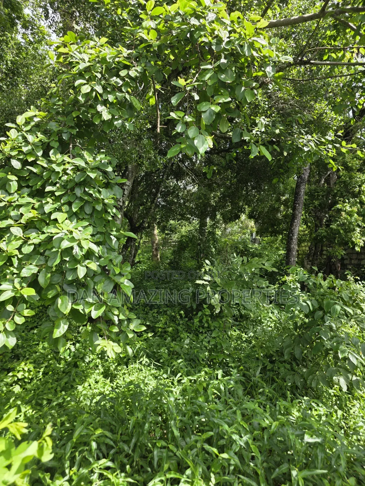 1 Acre Beach Front Land for Sale in Diani Galu Area I