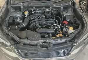 Subaru Forester 2019 Gray
