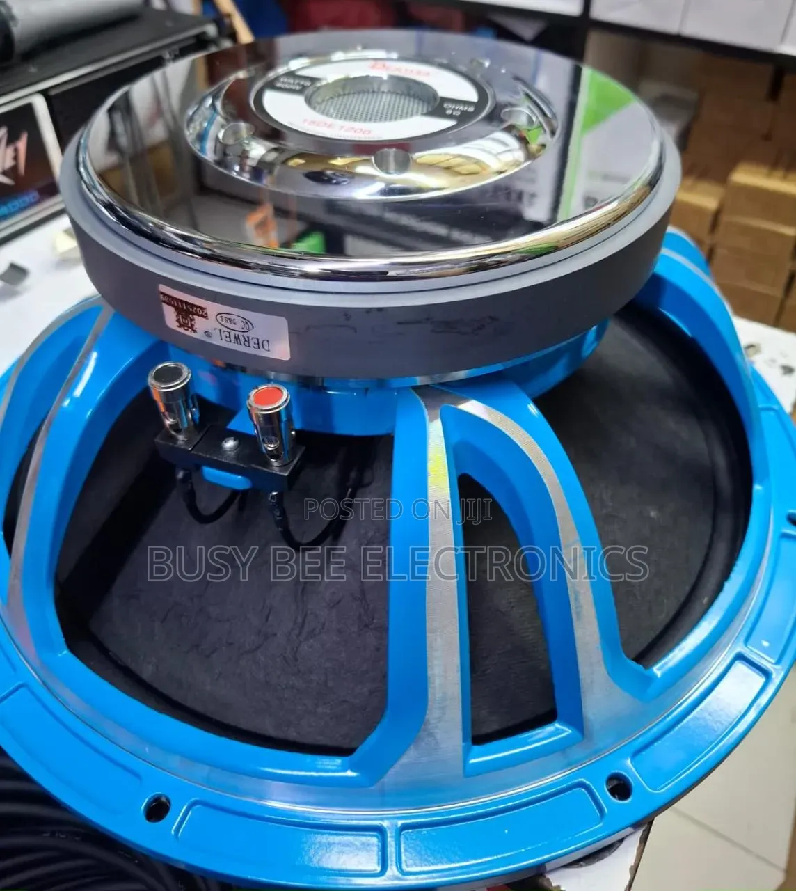 Derwel 12df600 Professional 12-Inch Loudspeaker – 600w