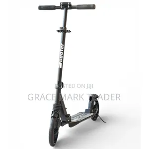 Foldable Metallic Scooter