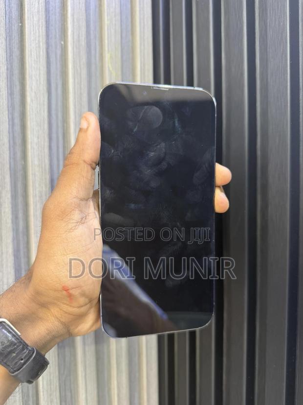 Apple iPhone 13 Pro Max 128 GB Gray
