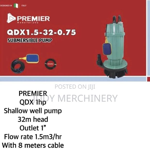 QDX Premier Water Pump 1hp 32mtrs