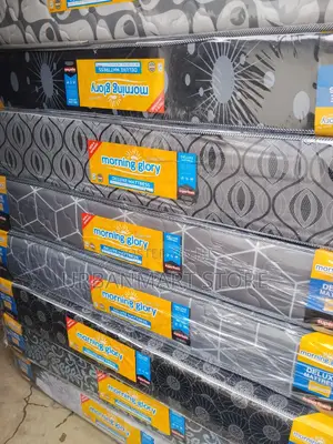 Quilted Mattress Foam 10 Inches 5 by 6 Morning Glory LTD Company