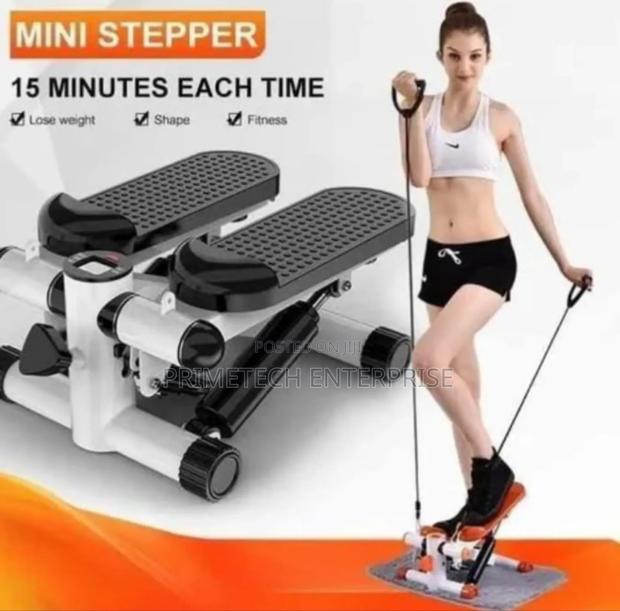 Ab Mini Stepper for Gym