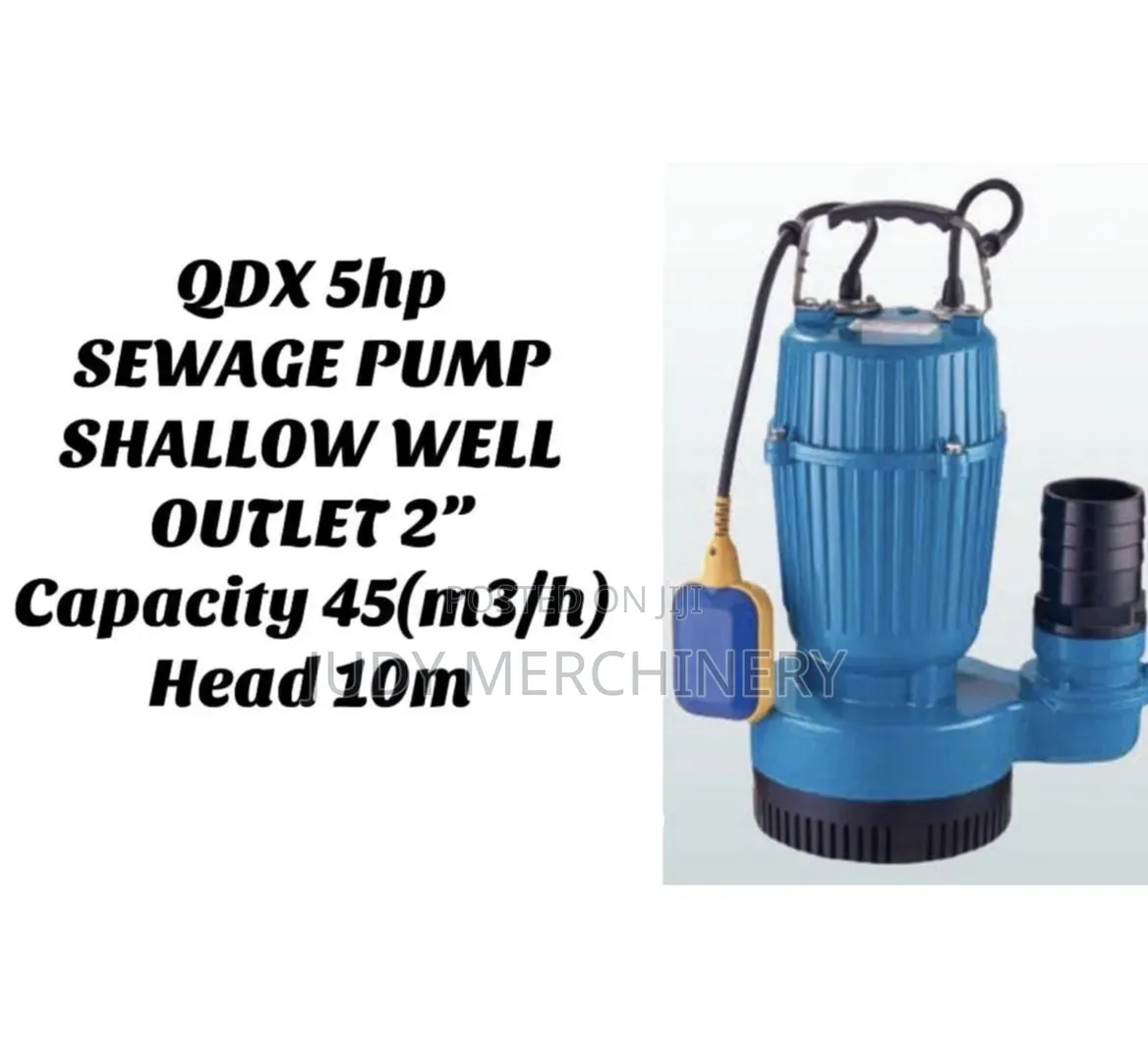 QDX 5hp Sewage Pump 2"