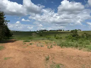 Prime 50x100 Plot for Sale – Ngoliba, Thika