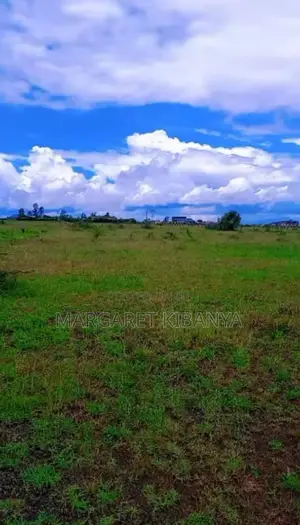 50x100 Plots For Sale In Juja Farm – | Ready Title Deeds