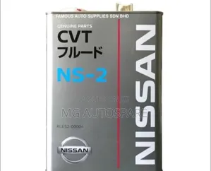 Nissan Ns 2 Fluid