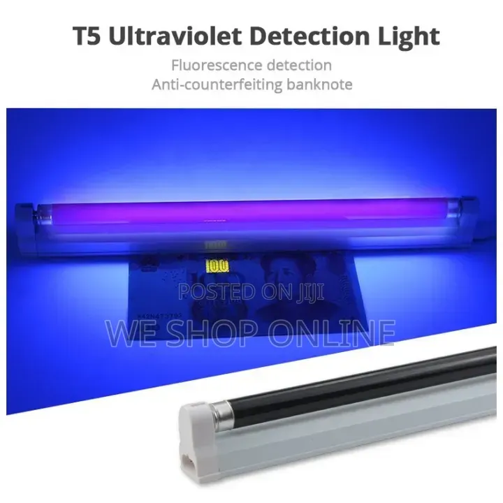 Electronic Fluorescent Money Light
