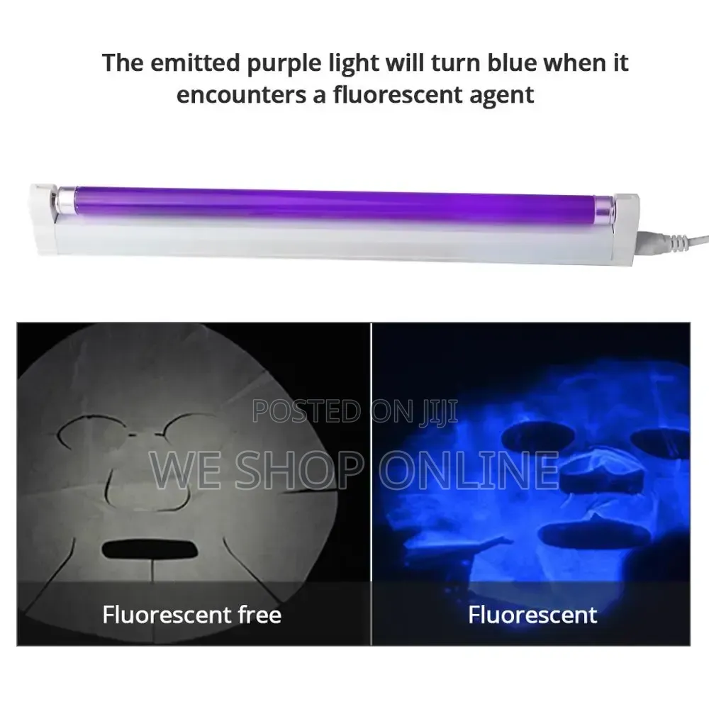 Electronic Fluorescent Money Light