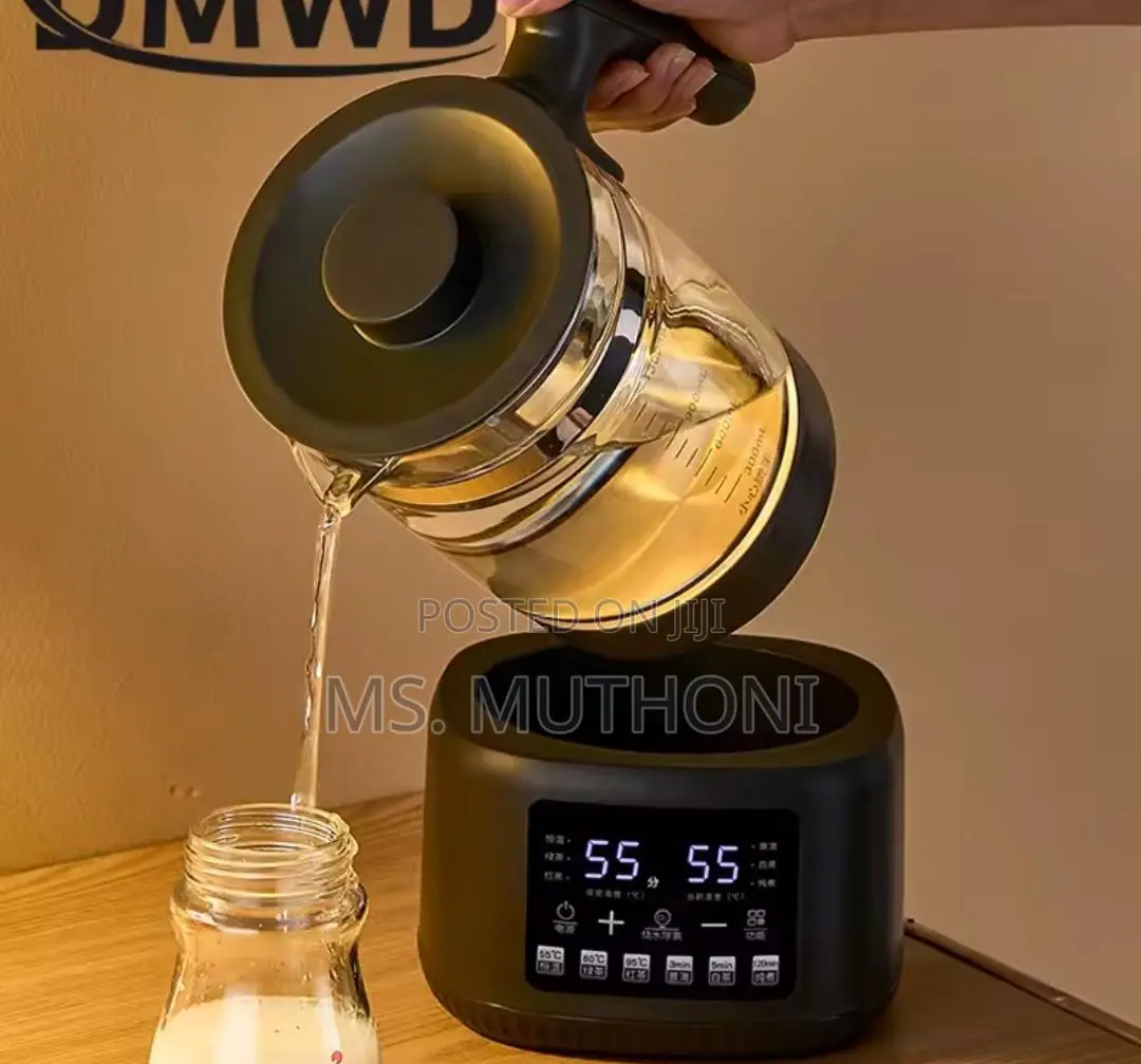 Fully Automatic, Steam-Spray Multifunctional Tea Maker /Electric Kettl