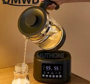Fully Automatic, Steam-Spray Multifunctional Tea Maker /Electric Kettl