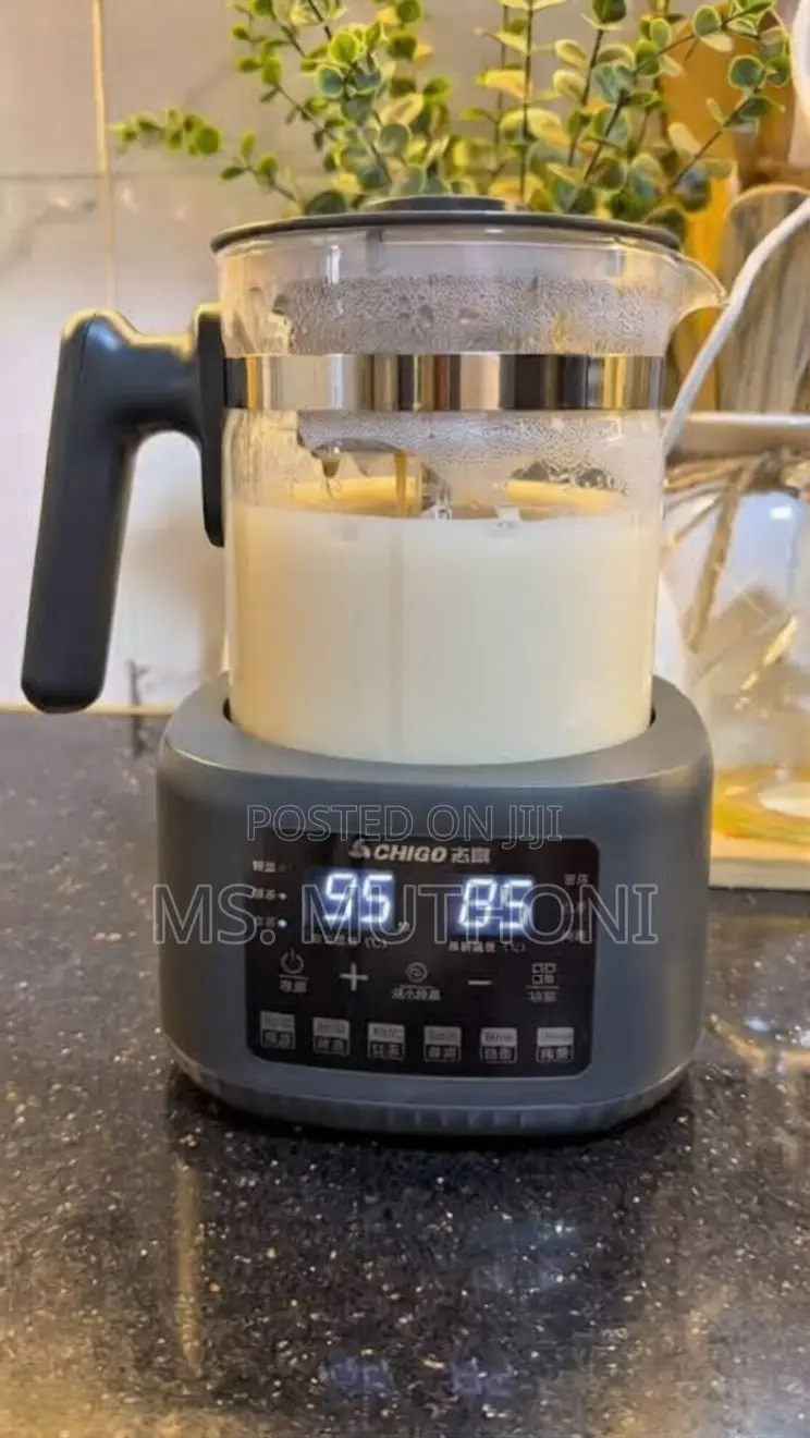 Fully Automatic, Steam-Spray Multifunctional Tea Maker /Electric Kettl