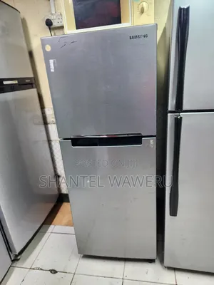 Digital Inverter/ Silver Double Refrigerator