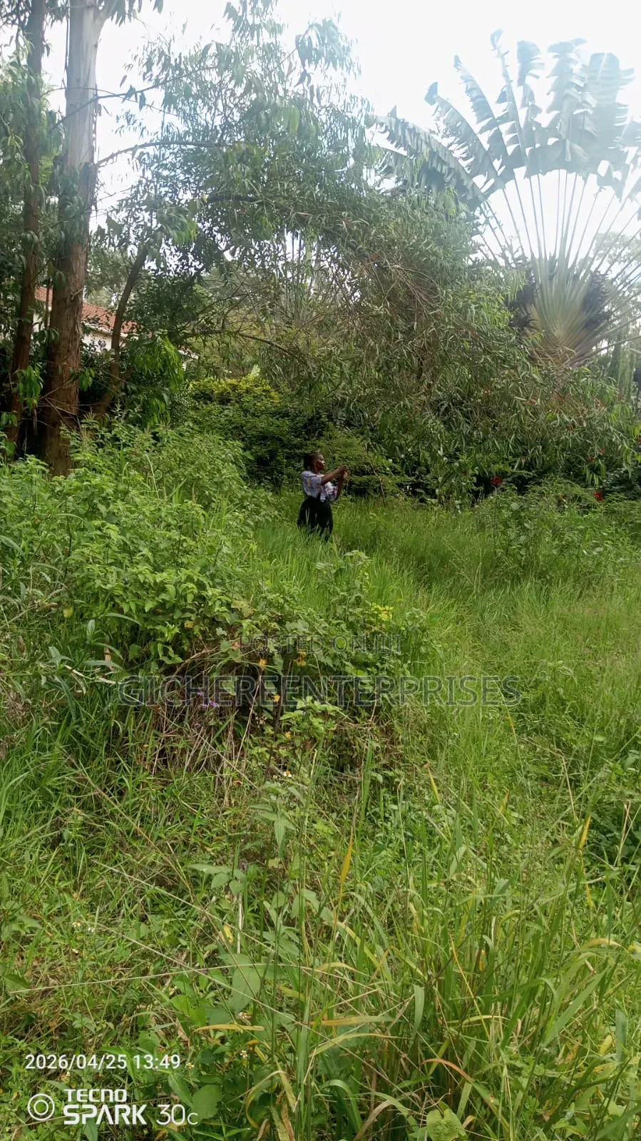 Garden Estate Plot