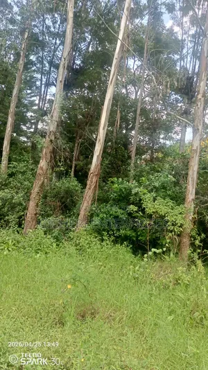 Garden Estate Plot