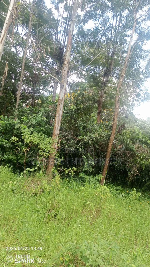 Garden Estate Plot - thumbnail 6
