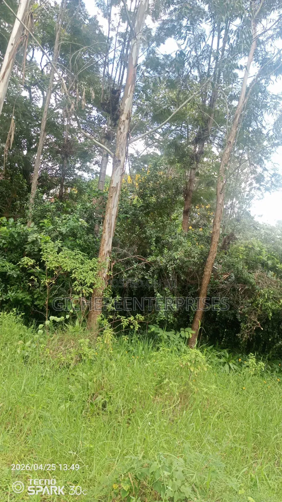 Garden Estate Plot