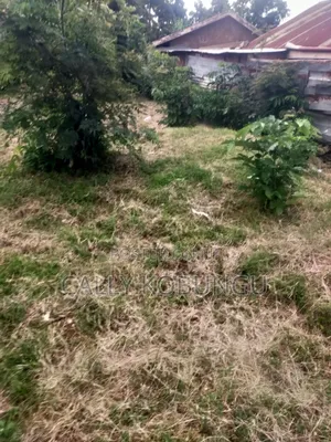 1⁄4 an Acre in Dunga, Atela Junction